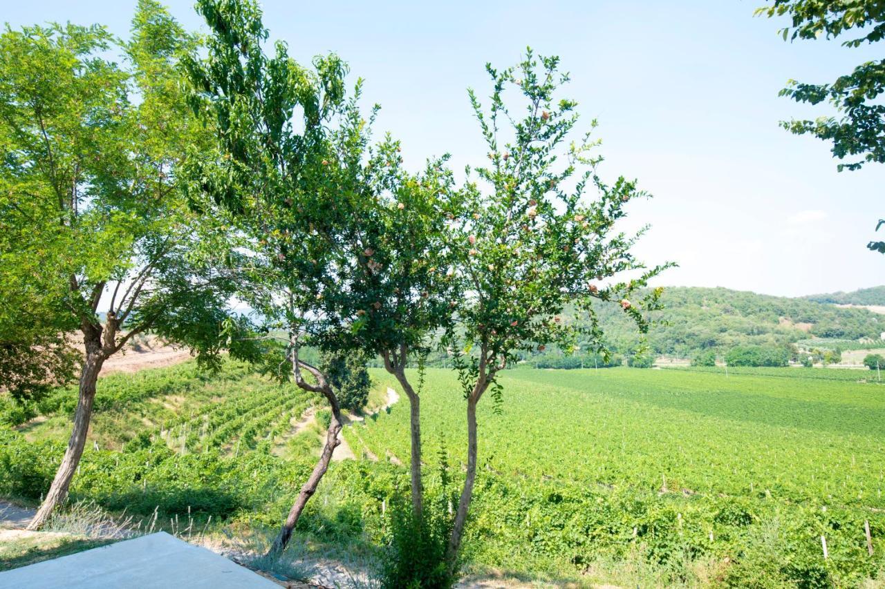 B&B Ai Filari Baone Extérieur photo